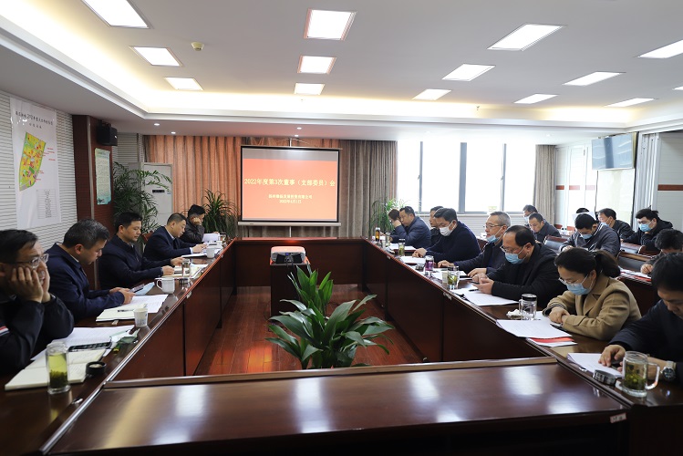 维扬发投召开2022年度第3次董事（支部委员）会