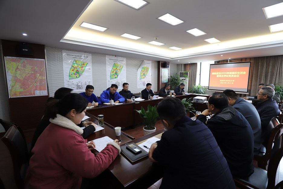 组织生活会1.JPG